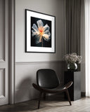 Ethereal Bloom 70×70cm - | Bella Home Art