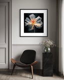 Ethereal Bloom 70×70cm - | Bella Home Art