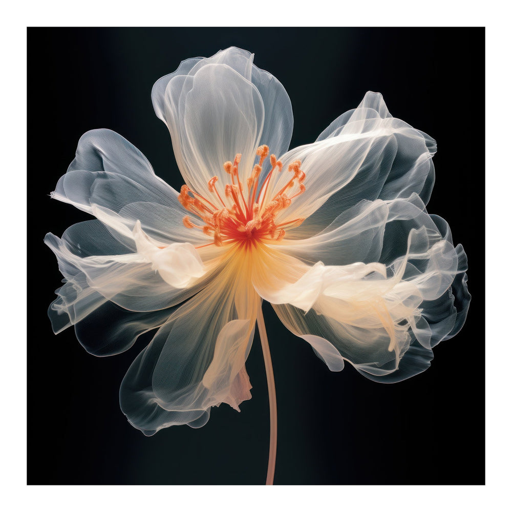 Ethereal Bloom 70×70cm - | Bella Home Art