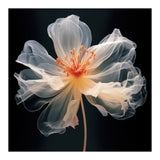 Ethereal Bloom 70×70cm - | Bella Home Art